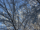 В понедельник в Саратовской области ожидается до 10 градусов мороза