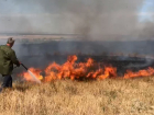 Более двух гектаров леса погибло в огне в Саратовской области