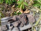 В Саратове обнаружены следы древнего поселения Бронзового века