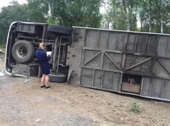 ДТП с автобусом в Калининском районе: авария произошла из-за выбежавшего на дорогу дикого животного