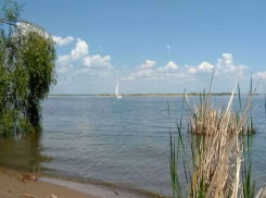 Во вторник в Саратовской области будет солнечно, без осадков