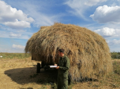 Женщина погибла на глазах у мужа в Саратовской области