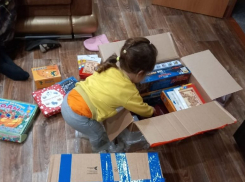 После жалобы библиотекаря из саратовской глубинки на нехватку литературы деревню завалили книгами