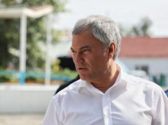 Володин — депутатам и прокурорам: «Вы должны спрашивать с министра образования, а не с директоров школ»