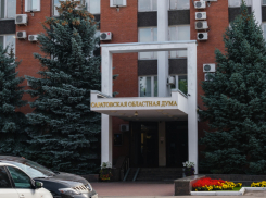 Число самозанятых саратовцев с начала года увеличилось в три раза 