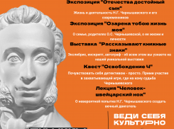 Проект «Пушкинская карта»: культурное «меню» для саратовской молодежи