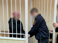 Молодая девушка, убившая новорожденного сына, арестована на 2 месяца