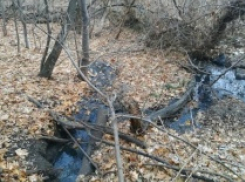 Канализация в Волгу: саратовские власти установили источник «свойственного запаха» в районе трассы на Усть-Курдюм 