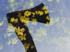 Суд запретил саратовцам изготовлять каменные топоры