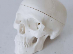 Саратовец откопал под фундаментом череп человека: его проверят по базе без вести пропавших