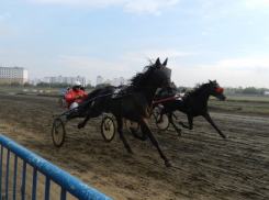 Уличный Боец обошел Буревестника: на Саратовском ипподроме отметили «День Хлебороба»