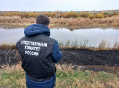 Рыбак сгорел во время пожара в камыше в Саратовской области