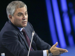 Валерия Рашкина могут лишить депутатской неприкосновенности. Спикер ГД ждет обращения генпрокурора 