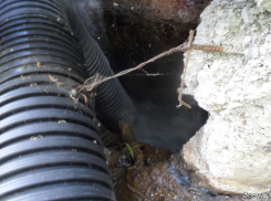 Саратовцы требуют наказать виновников загрязнения Волги фекалиями