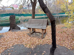 Во вторник жителей Саратовской области ждет небольшое похолодание