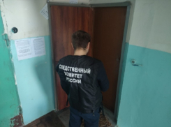 В Саратовской области в погребе обнаружено тело пожилой женщины с кровоподтеками