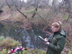 В Саратовской области родственники нашли в реке тело 80-летней женщины