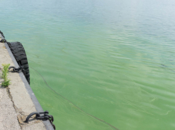 В районе Бабушкиного взвоза замечен сброс нечистот в Волгу