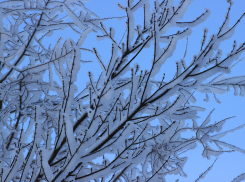 В пятницу в Саратовской области ожидается до 7 градусов ниже нуля