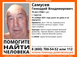 В Саратове пропал 75-летний пенсионер в светло-коричневом джемпере