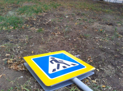 В Саратовской области «Тойота Лэнд Крузер» сбила женщину-пешехода