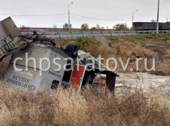 В Саратовской области «Мерседес» перевозил 5 лошадей и улетел в кювет