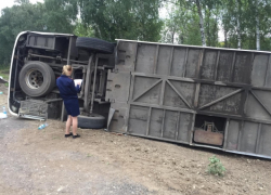 ДТП с автобусом в Калининском районе: авария произошла из-за выбежавшего на дорогу дикого животного
