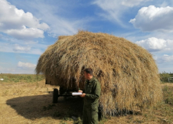 Женщина погибла на глазах у мужа в Саратовской области