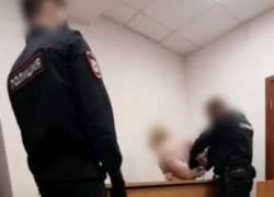 Прокуратура просит для саратовской учительницы, зверский убившей женщину и ребенка 24 года колонии
