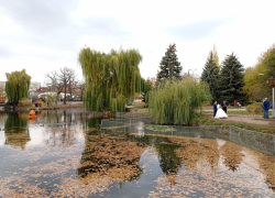 Золотая осень в саратовском городском парке