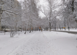 В воскресенье в Саратовской области ожидается до 13 градусов мороза
