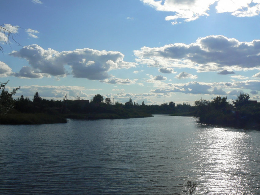 Бобры и рыба погибли, и саратовский пруд снова наполнился водой