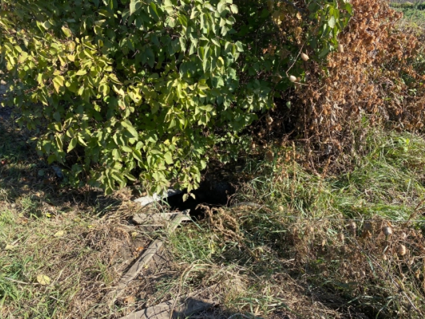 Пожилая женщина из Саратовской области погибла в колодце