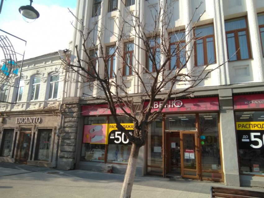 Почему на проспекте Кирова в Саратове погибают деревья: комментарий главы города